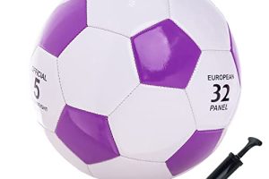 SPDTECH Soccer Ball Size 2 Small Pump with Needle Indoor and Outdoor Training Practice Couch School Gift for Toddlers Kids Boys Girls 0-2 Years Old (Purple)